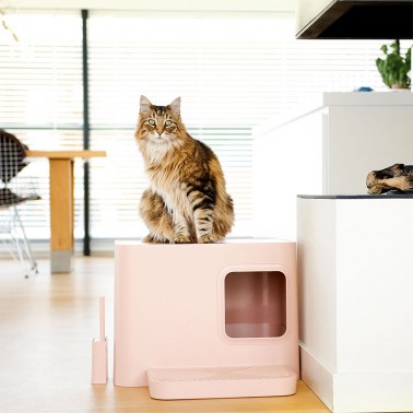 Maison toilette pour chat rose