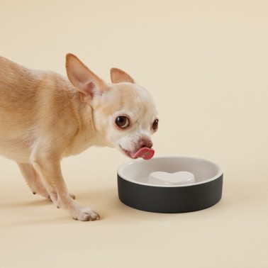 Gamelle chien anti-glouton céramique XS Ahma