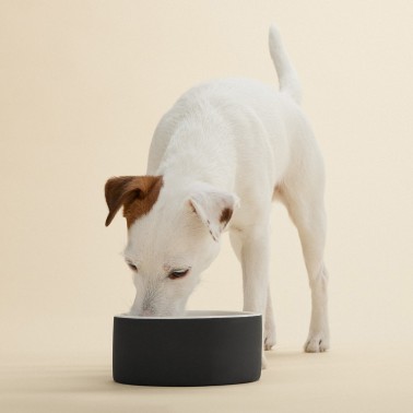 Gamelle chien anti-glouton céramique M couleur noir