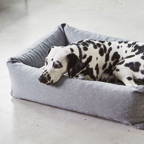 lit chien design gris
