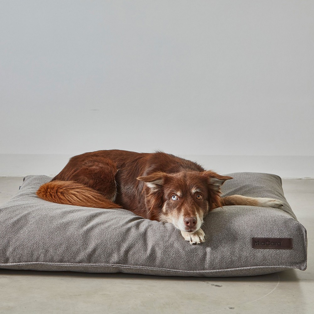 MiaCara Luce - Coussin chien haut de gamme moelleux, gris