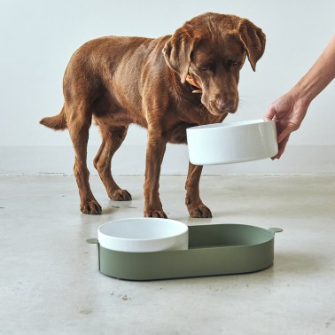 Gamelle design vert de gris pour chien labrador