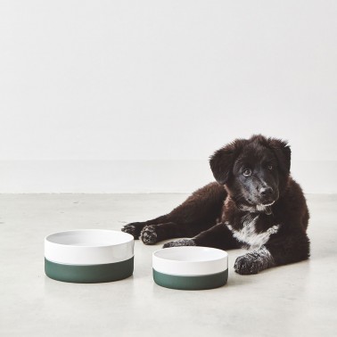 Bol design en porcelaine et silicone pour chien